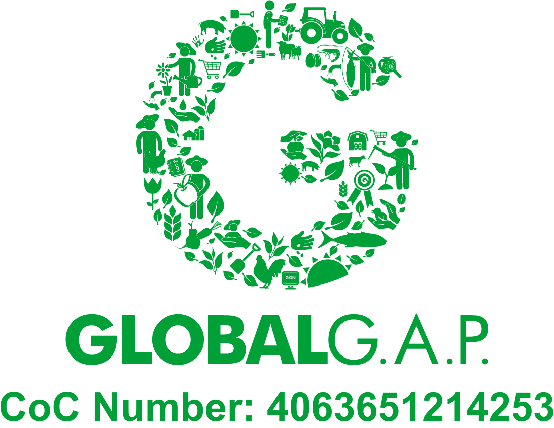logo global GAP