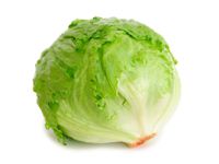 lechuga iceberg