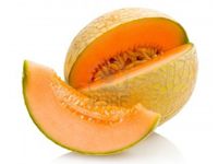 melon cantaloup