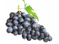 racimo uvas negras